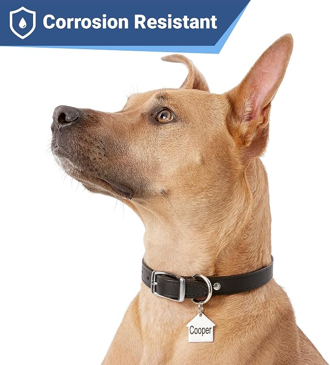 GoTags Stainless Steel Pet ID Tags, Personalized Dog Tags and Cat Tags - Image 4
