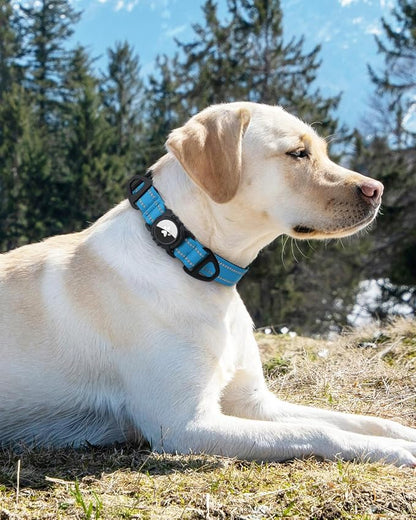 Joytale Airtag Dog Collar, Waterproof Dual D-Rings, Reflective Pet Collar - Image 8