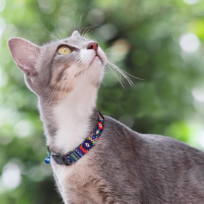 Cat Collars 2 Pack - Image 7
