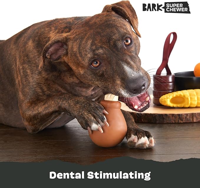Barkbox Super Chewer Tough Dog Chew Toys - Image 5