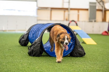 Better Sporting Dogs 10 Foot Dog Agility Tunnel - Image 4
