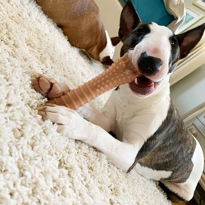 Nylabone Textured Knuckle Bone Power Chew Toy - Image 4