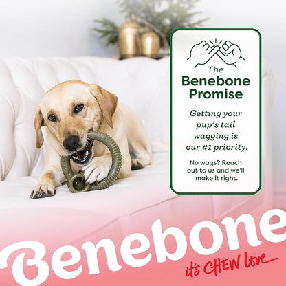 Benebone Peppermint Ring – Limited Edition Holiday Flavor, Durable Chew Toy - Image 7