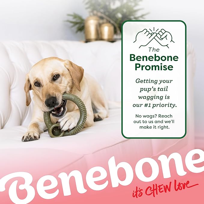 Benebone Peppermint Ring – Limited Edition Holiday Flavor, Durable Chew Toy - Image 6