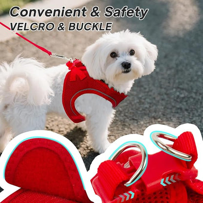 PetiFine Step in Small Dog Harness and Leash Set, Breathable All Weather Air - Image 3