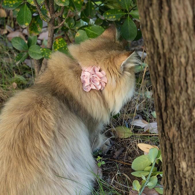 azuza 2 Pack Cat Collar Floral - Image 3