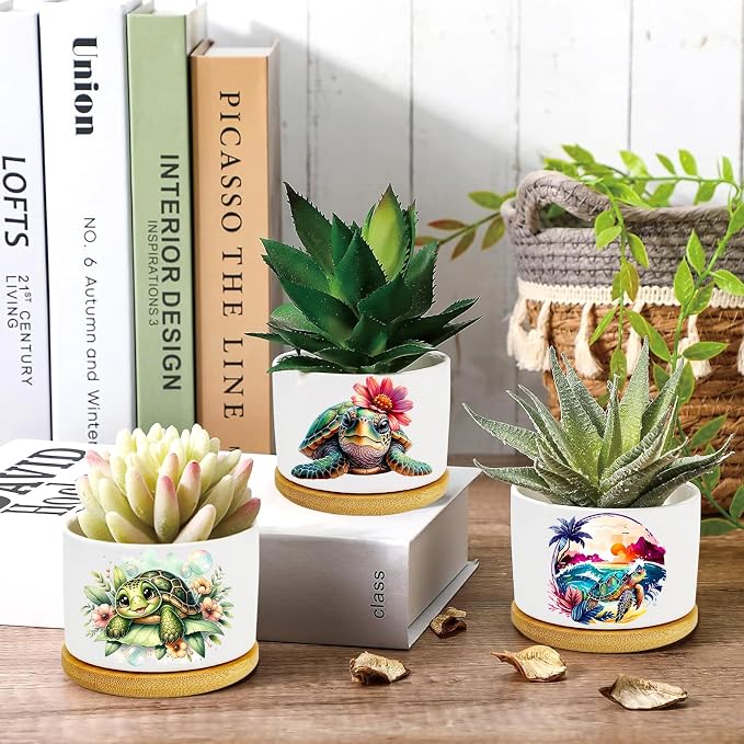 Turtle Succulent Pots 3 Pack, 3 Inch Succulent Planters - Image 2