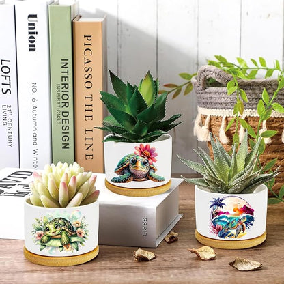Turtle Succulent Pots 3 Pack, 3 Inch Succulent Planters - Image 2