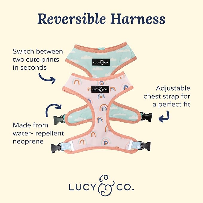 Lucy & Co. in The Clouds, Cute Reversible Dog Harness Walking Halter - Image 2