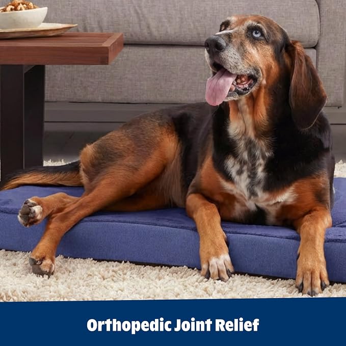 Barkbox Orthopedic Dog Bed - Image 6