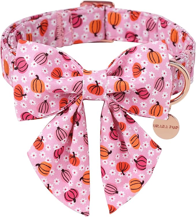 Halloween Pumpkin Dog Collar by UPURARAPUP