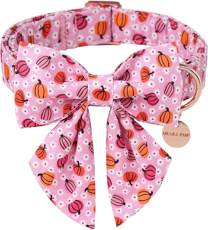 Halloween Pumpkin Dog Collar by UPURARAPUP