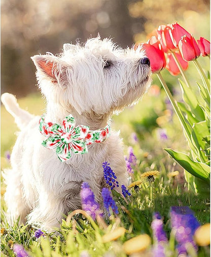 Lionheart glory Dog Collar Flowers Collar Floral Dog Collar - Image 5