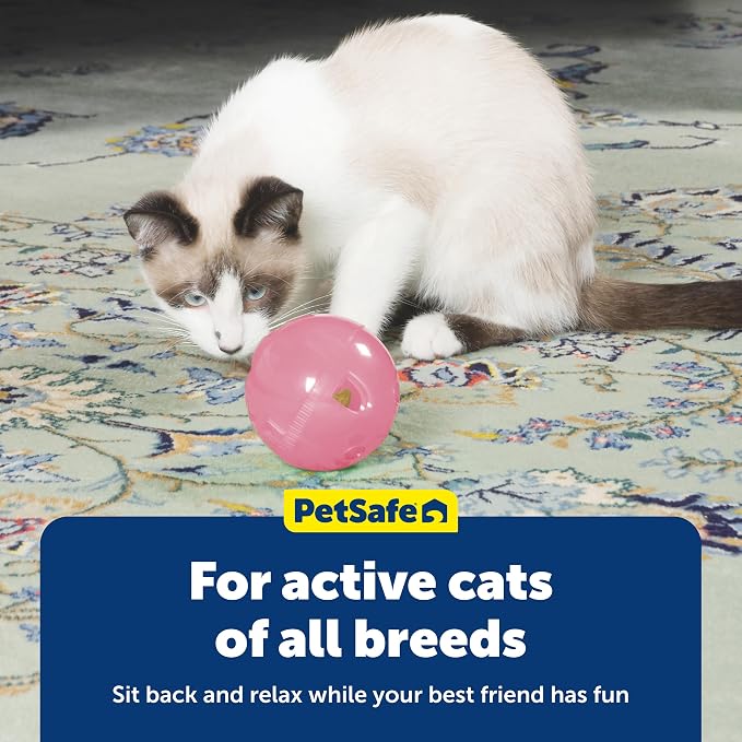 PetSafe SlimCat Interactive Feeder - Image 7