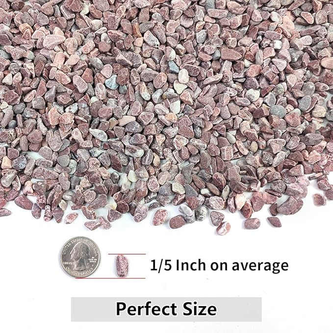 2LB Succulent and Cactus Gravel Pebbles, 1/5 Inch Natural Decorative Polished - Image 2