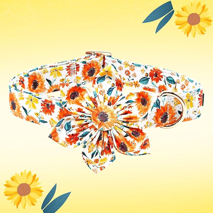Lionheart Glory Floral Dog Collar - Image 3
