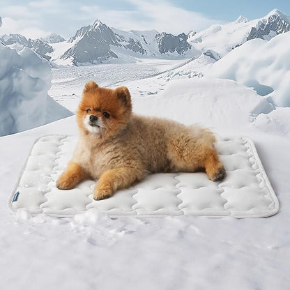 Bedsure Cooling Mat for Small Dogs – 24x18 Thin Washable Cooling Pet Pad for Cat by BEDSURE