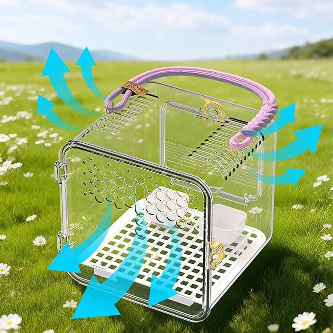Bird Carrier - Portable Clear Cage - Image 5
