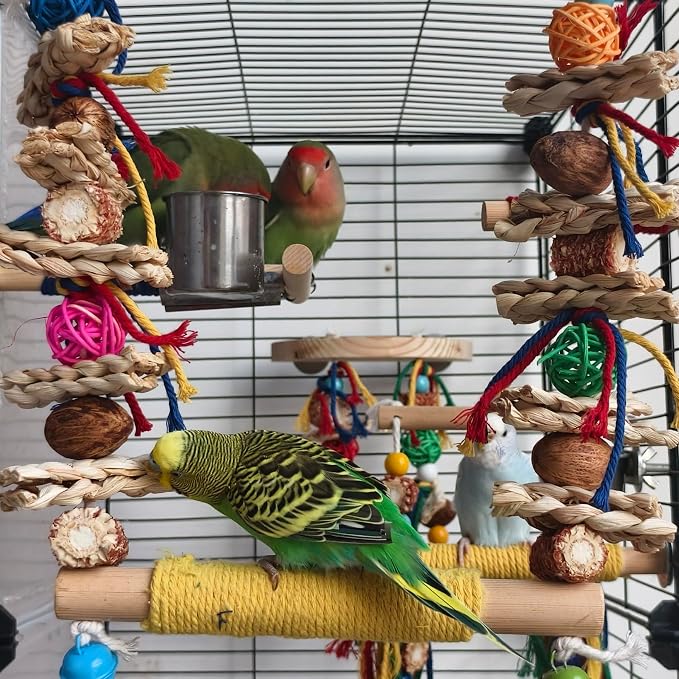 Bird Swings Toys for Parakeets Parrot, Natural Bird Perch Cage Hanging Chew - Image 5