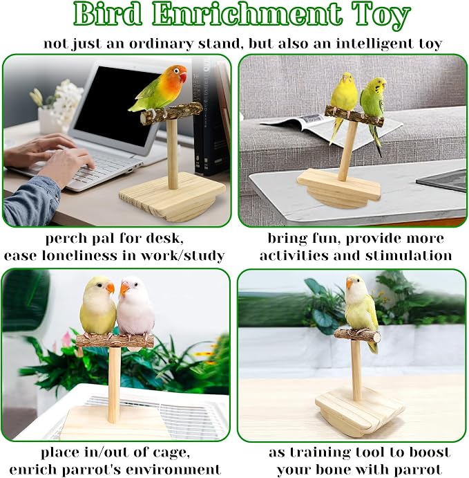 Natural Wood Bird Perch Stand Training, Intelligence Puzzle Enrichment Toys - Image 5