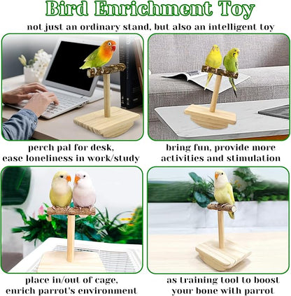 Natural Wood Bird Perch Stand Training, Intelligence Puzzle Enrichment Toys - Image 5
