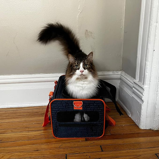 Official Pet Carrier of JetBlue Airlines Blue 16 inches - Image 2
