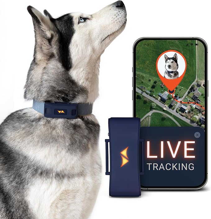 PAJ GPS Dog Tracker - 4G Real-Time Tracking & Runaway Alerts - Waterproof by PAJGPS