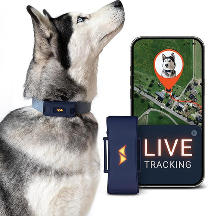 PAJ GPS Dog Tracker - 4G Real-Time Tracking & Runaway Alerts - Waterproof by PAJGPS