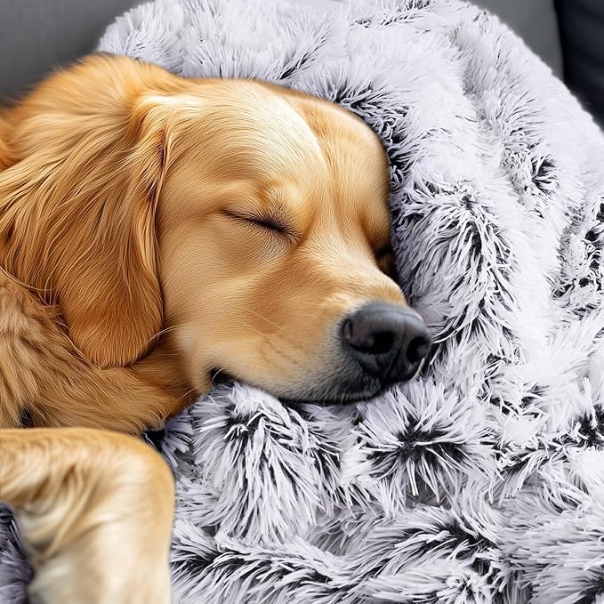 Luciphia Large Waterproof Dog Blanket - Image 9