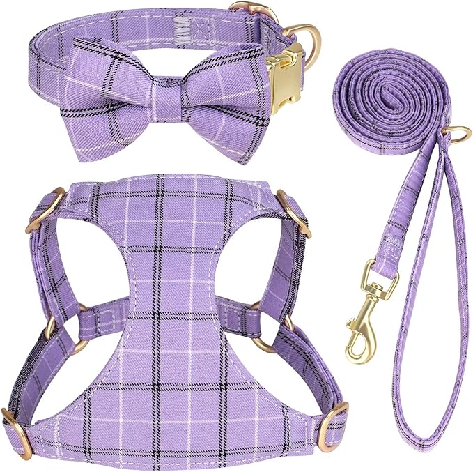 Beirui Cute Extra Small Dog Harness Collar and Leash Set by Beirui