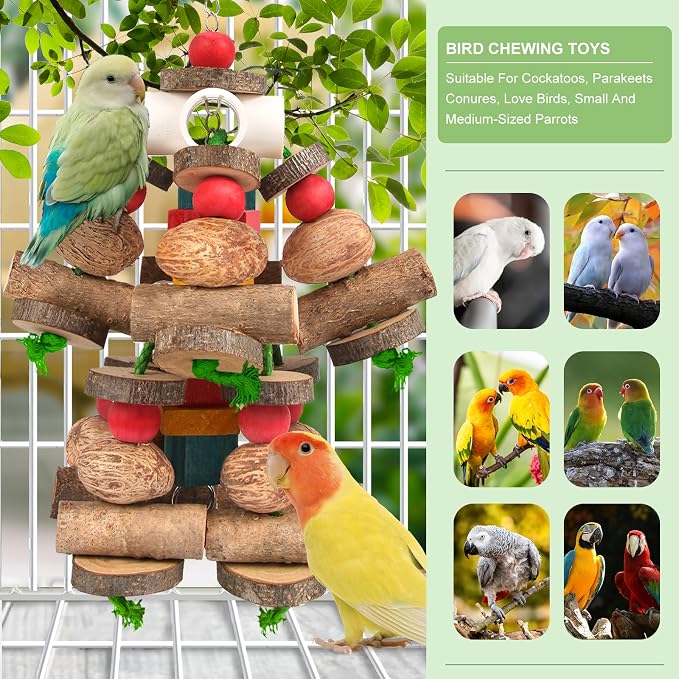 Kyouki Large Parrot Toy, Bird Toys - Image 3