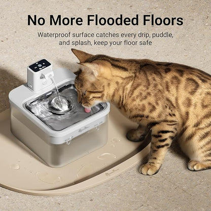 DownyPaws Cat Food Mats for Floors Waterproof, BPA Free Silicone Pet Food Mat - Image 3
