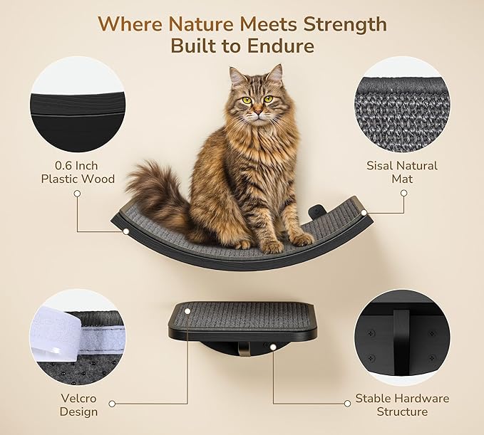 Cat Wall Shelves for Large Cats Set, Wall Mounted Climbing Shelves for Sleeping - Image 2