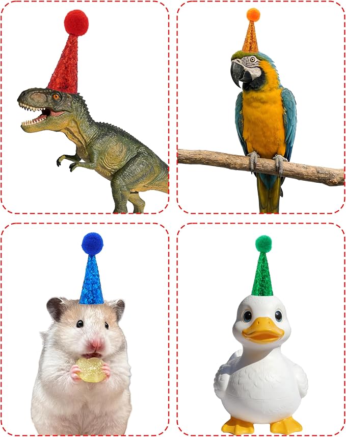 PET SHOW 10 Pack Mini Party Hats - Image 4