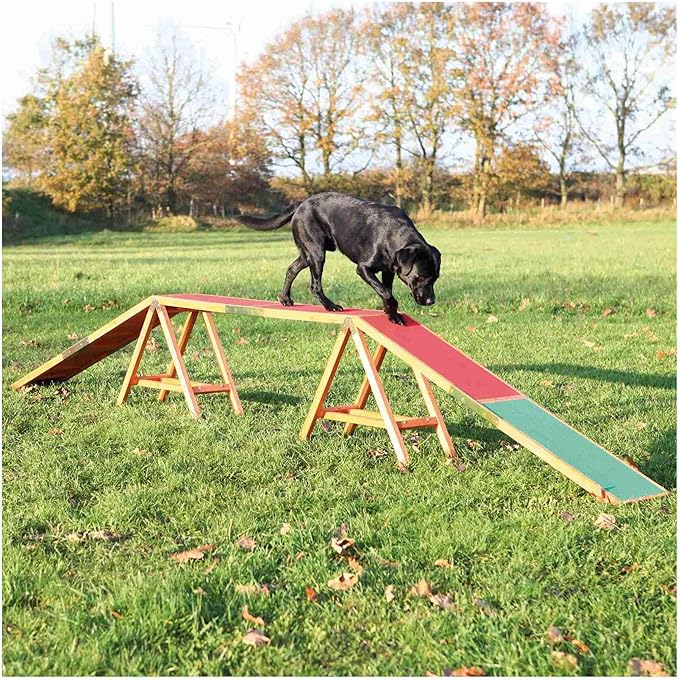 Trixie Dog Agility Walk and Ramps – Dog Obstacle Training Equipment Training - Image 2