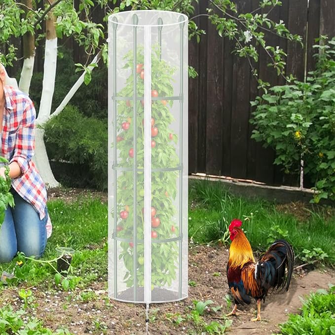 3 Pcs Round Tomato Cage Bird Netting Plant Cover, Trellis Plants - Image 2