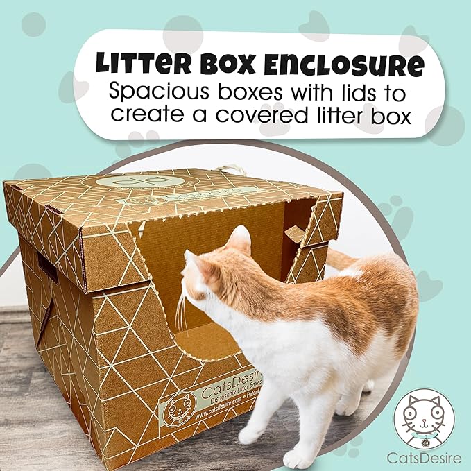 Cats Desire Litter Box - Image 6
