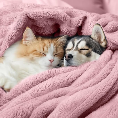 LINENLUX 1 Pack 3 Soft Dog Blanket Washable Warm Fleece Cat Blankets - Image 3