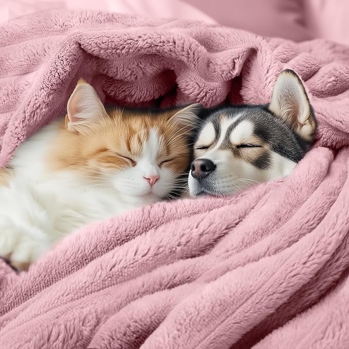 LINENLUX 1 Pack 3 Soft Fleece Dog Blanket - Image 3