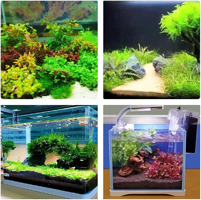 Aquascaping Tools 5 in 1 Kit Aquarium Scissors Plant Tools Curved & Straight - Image 6