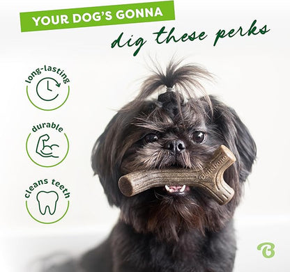 Benebone Bacon Stick Real Wood Durable Dog Chew Toy, Made in USA - Image 3
