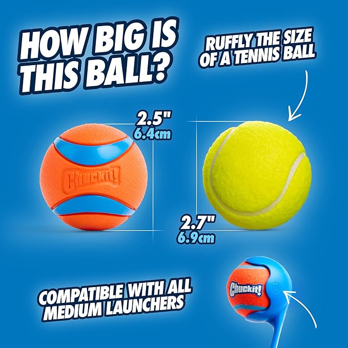 Chuckit! Ultra Ball Dog Toy - Image 2