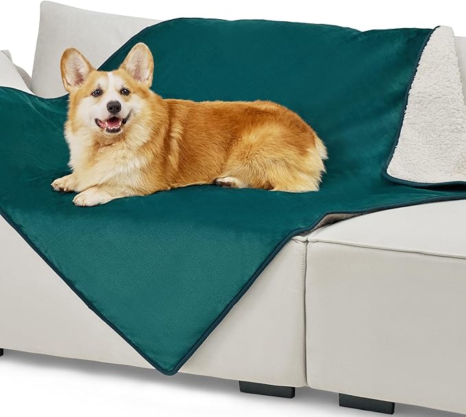 Bedsure Cat Blanket for Indoor Cats by BEDSURE