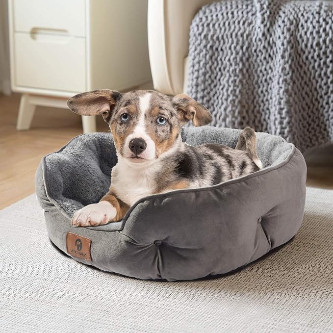Asvin Small Dog Bed for Small Dogs, Cat Beds for Indoor Cats, Pet Bed for Puppy - Image 2