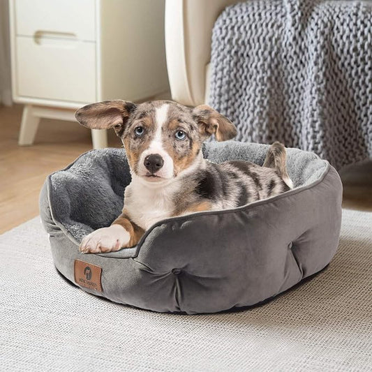 Asvin Medium Dog Bed for Medium Dogs, Cat Beds for Indoor Cats, Pet Bed for - Image 2