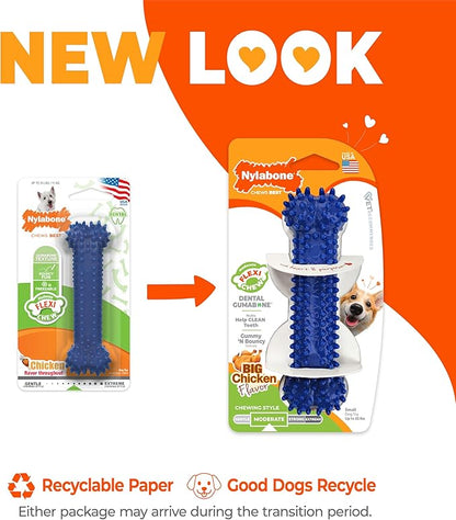 Nylabone Textured Dental Bone Flexi Chew Toy - Image 3