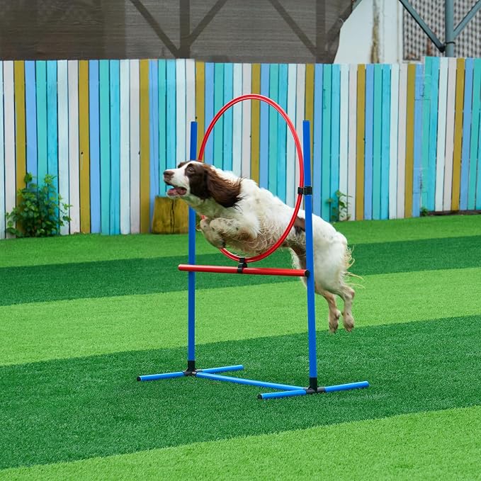 VEVOR Dog Agility Training Equipment, Dog Obstacle Course Backyard Set - Image 8