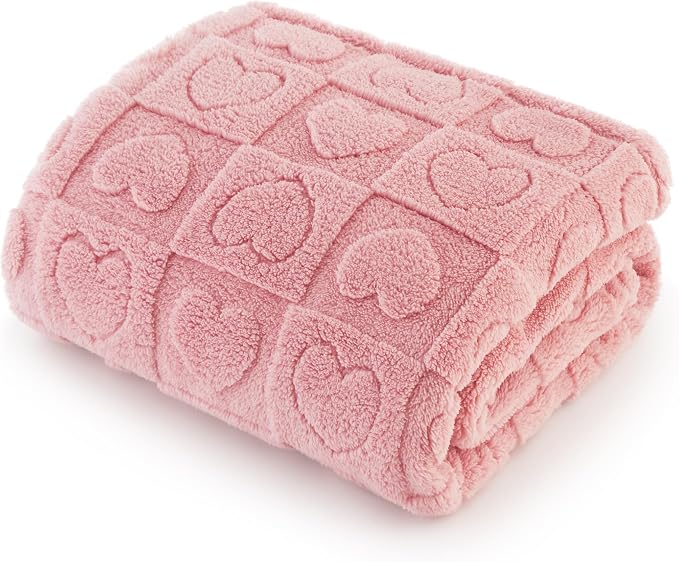 Bedsure Dog Blanket for Large Dogs Washable by BEDSURE