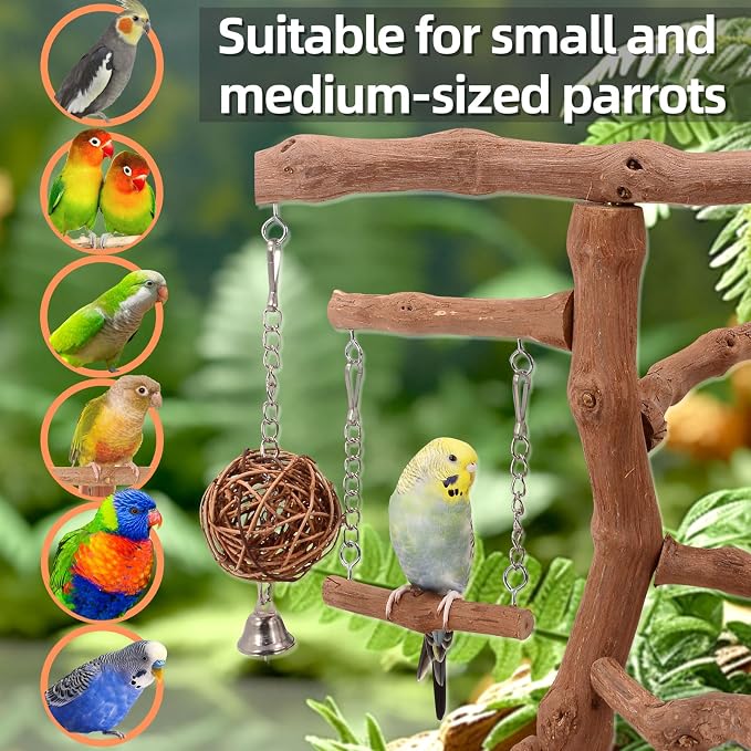 Natural Grape Wood Bird Parakeet Playground - Image 7