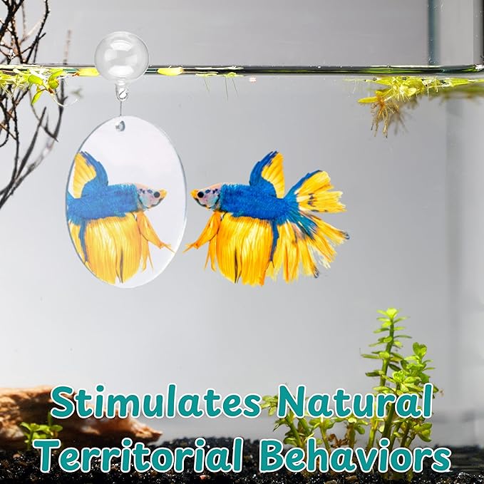 Betta Mirror Enrichment Fish Toys Stimulation, Betta Fish Tank Accessories - Image 6